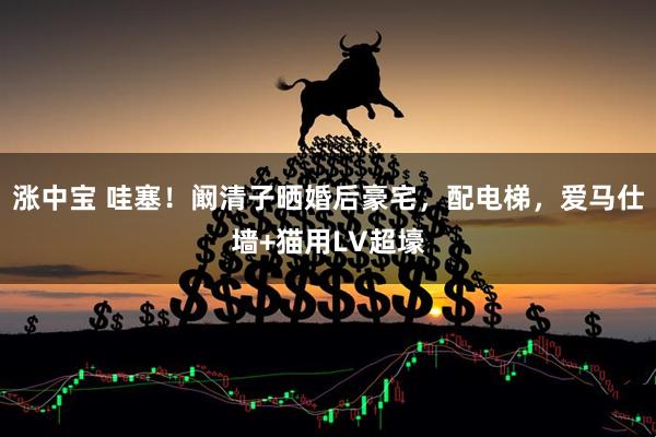 涨中宝 哇塞！阚清子晒婚后豪宅，配电梯，爱马仕墙+猫用LV超壕